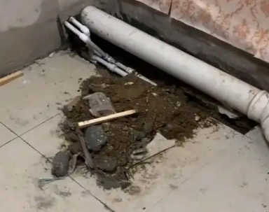 湘潭市卫生间漏水检测哪家好